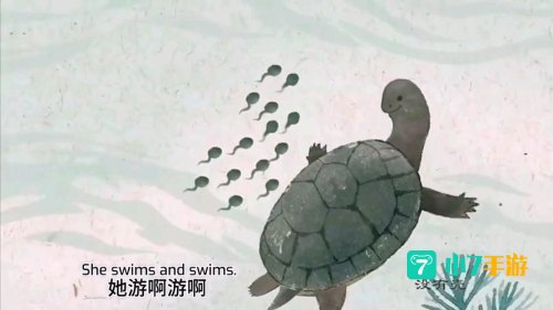 小蝌蚪视频在线官网下载
