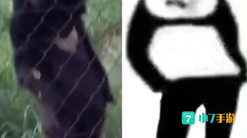 熊猫人职业