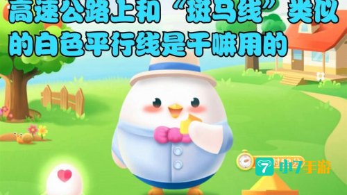 斑马线与斑马有什么关系蚂蚁庄园