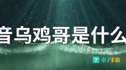 乌鸡哥是什么意思