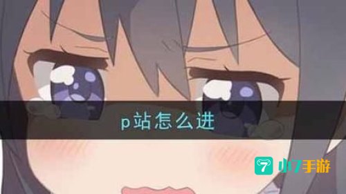 手机怎么进p站