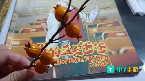 爸爸妈妈给我的不少不多