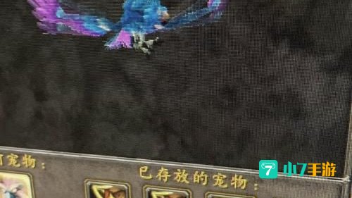 灵魂兽