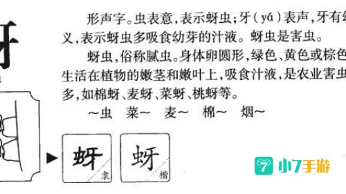 梭梭树拼音怎么读