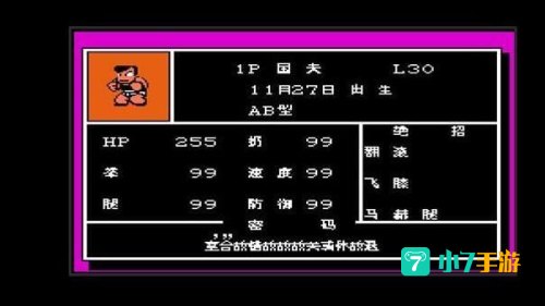 热血格斗传说密码