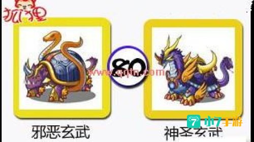 邪恶玄武怎么抓