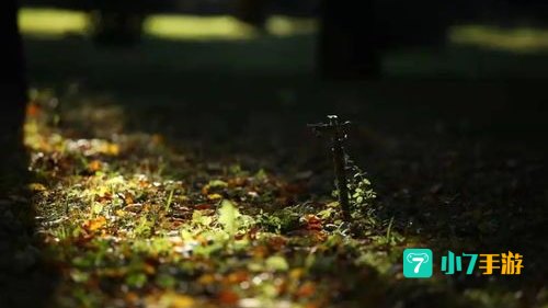 我真的爱你句句不轻易什么歌